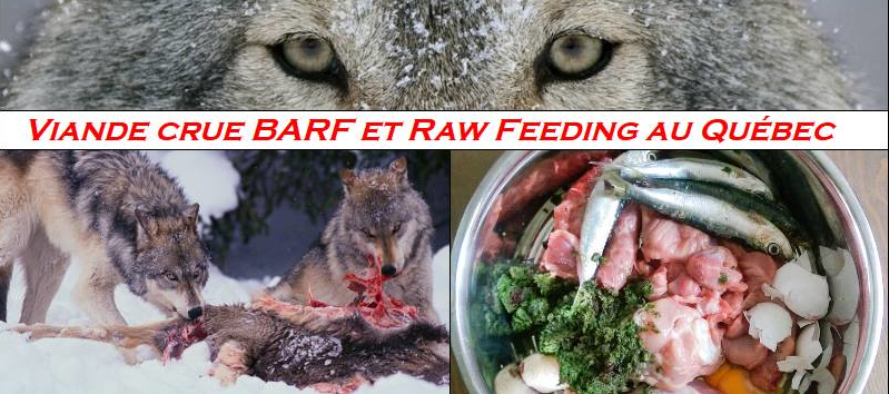 Groupe viande crue Facebook Groupe viande crue FaceBook