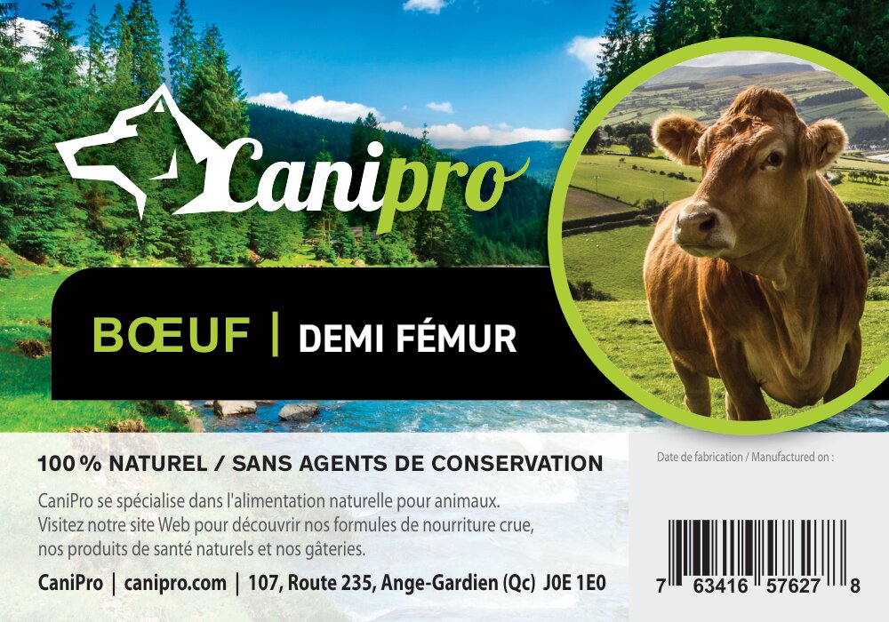 Demi fémur de boeuf