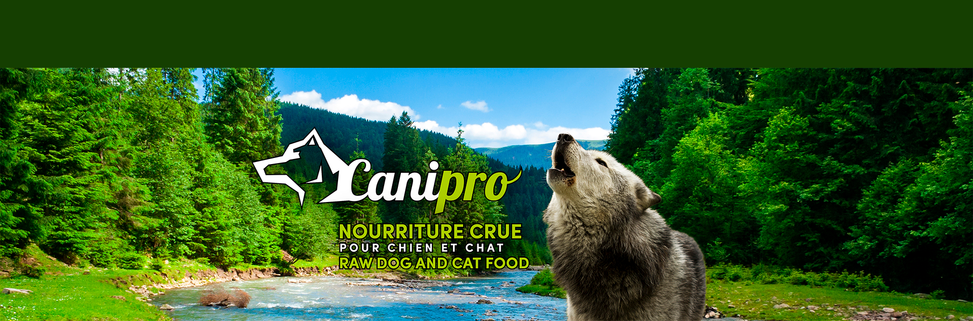 Banniere CaniPro
