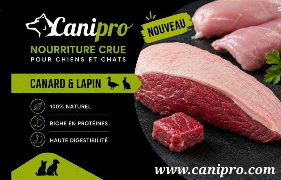 Recette canard et lapin Recette crue pour chiens au canard et lapin