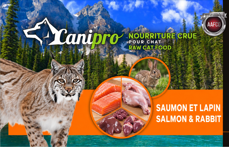 Recette pour chats au saumon et lapin.